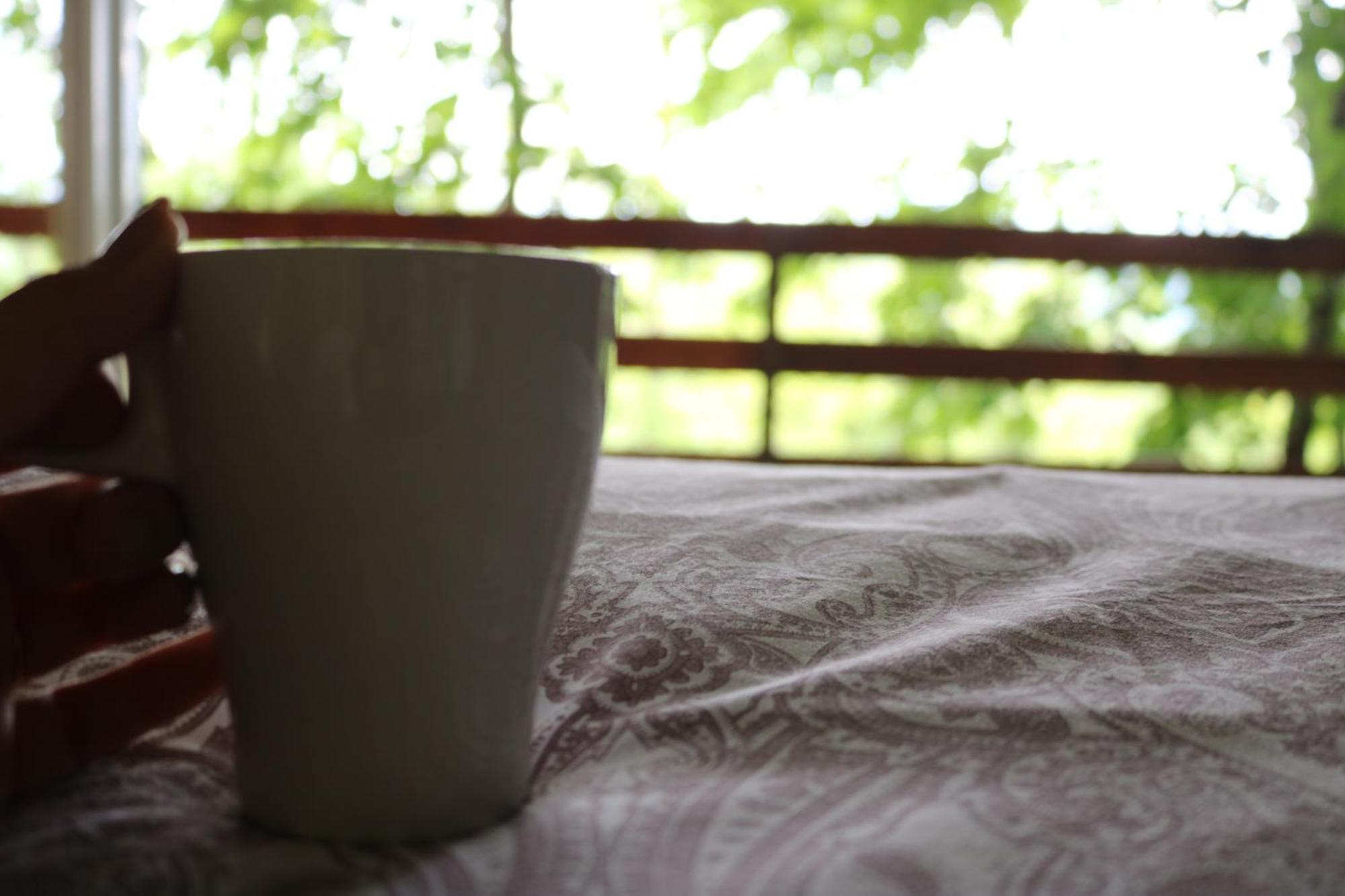 Vita Mia Pazin Quarto foto